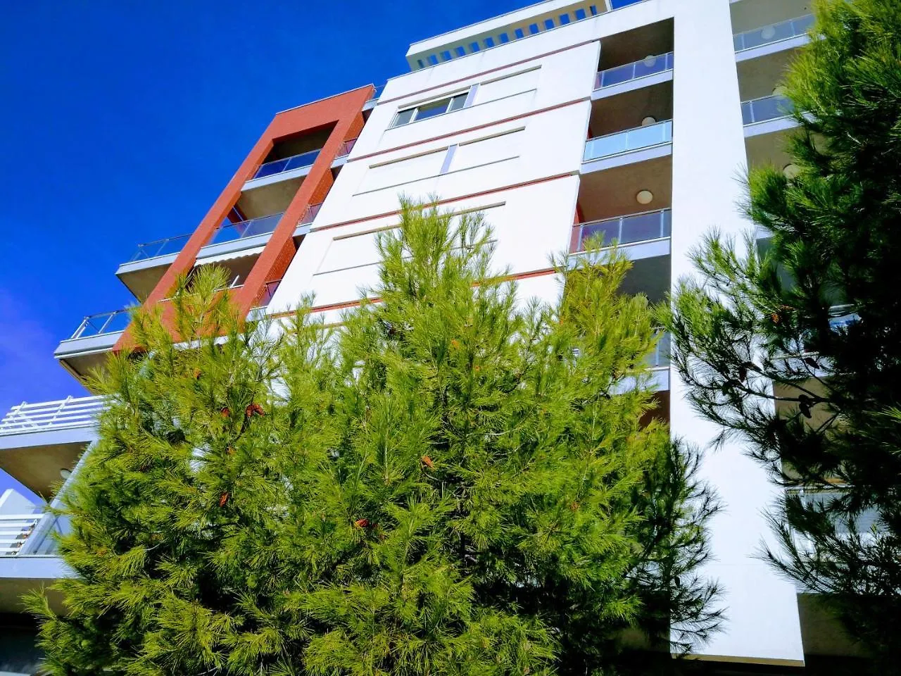 Turtle Apartment Durres Albania