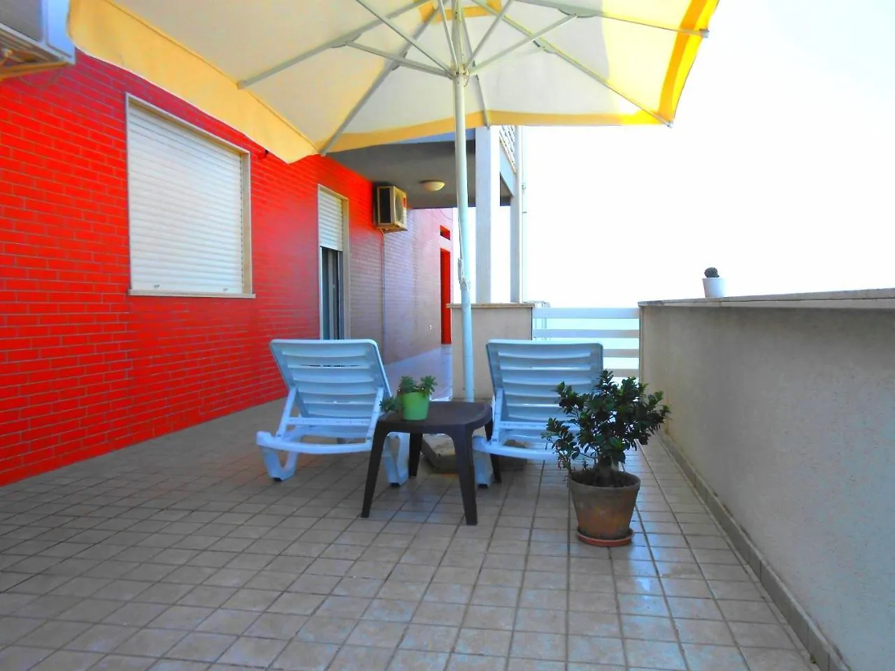 Turtle Apartment Durres