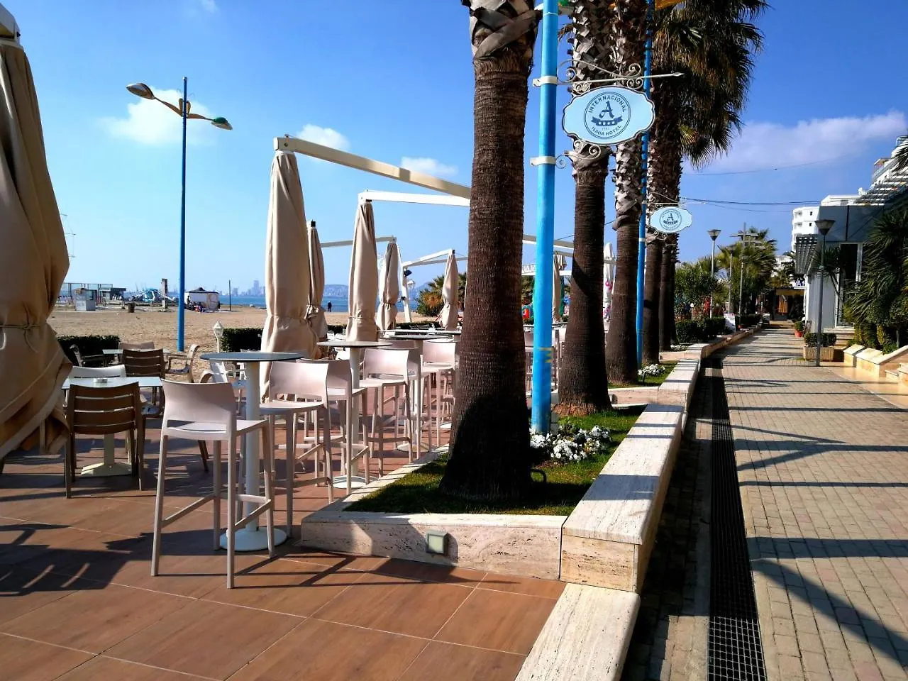 Turtle Apartment Durres
